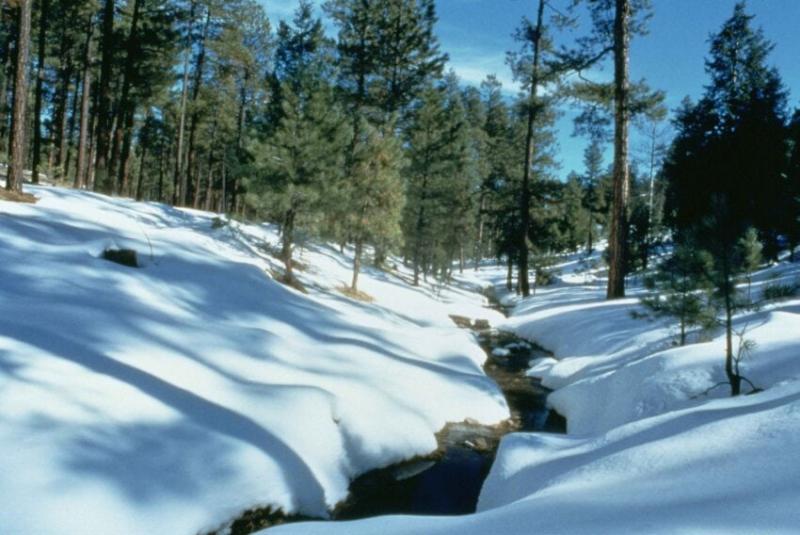 winter in az