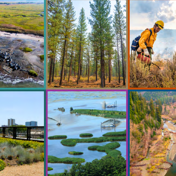 grid of images showing wetland, city, forest, and coastal environments
