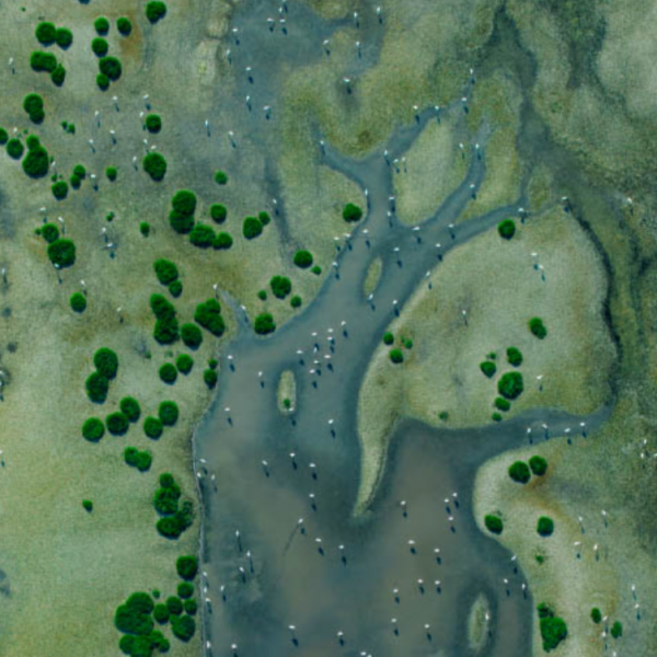 aerial image of river