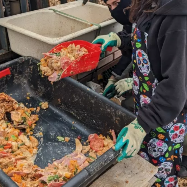 students scooping food waste out of a bin