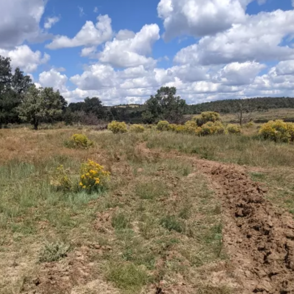 lines of dug up soil in rangelands