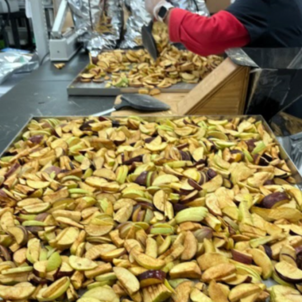 Red and green apple slices after the freeze-drying process