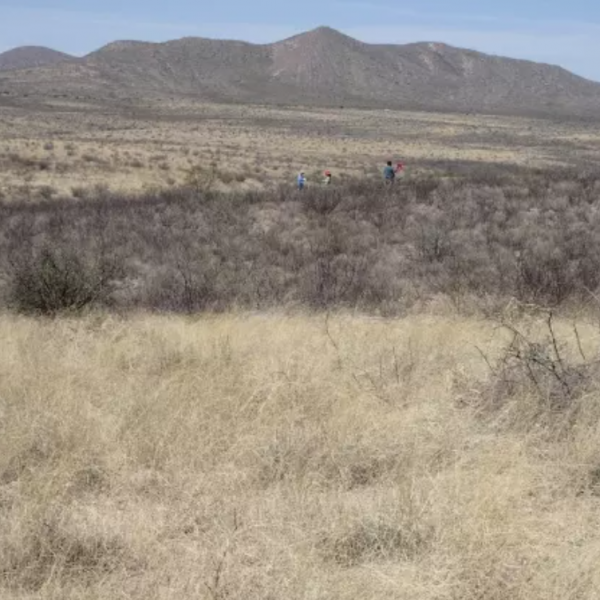 grassland area with mountains in the background
