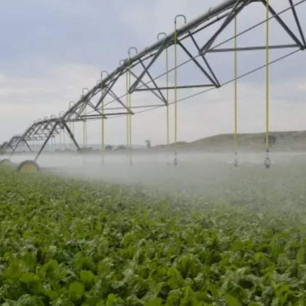 irrigation system