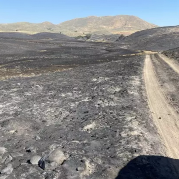 aerial view of post-fire landscape