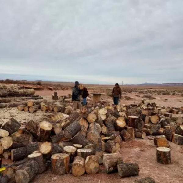 logs being cut into firewood