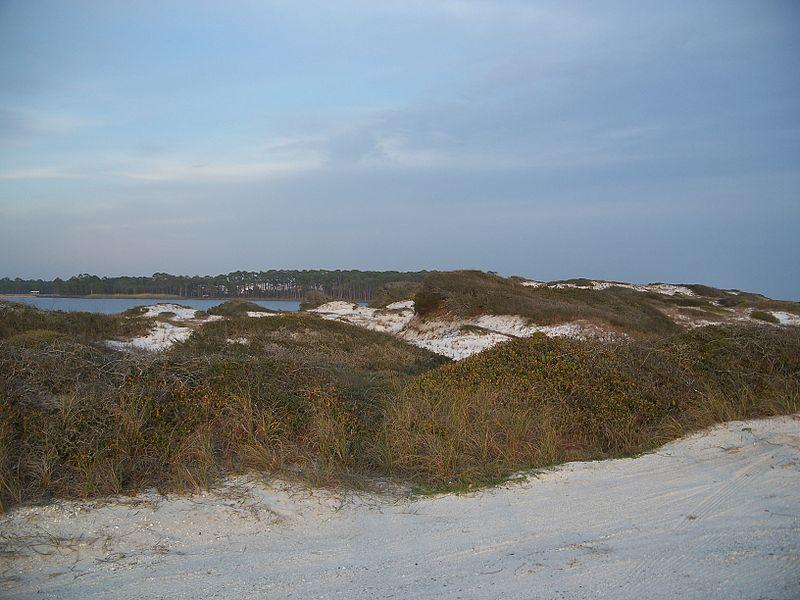 Ebyabe_Beach_Grayton_Beach