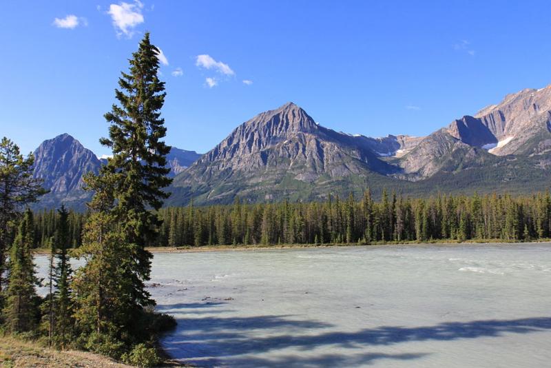 river with mountains and trees