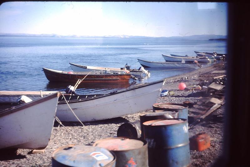boats on a shore