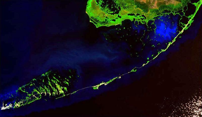 satellite image of the Florida Keys