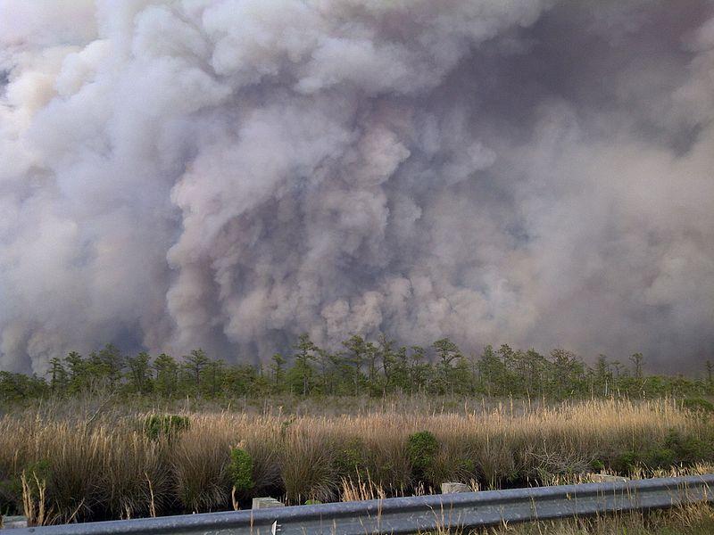 smoke clouds over a forest
