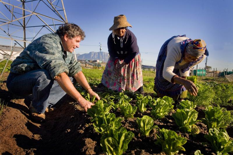 people crouched by garden