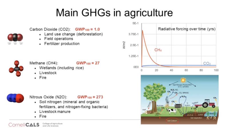 Slide explaining the main greenhouse gases in agriculture