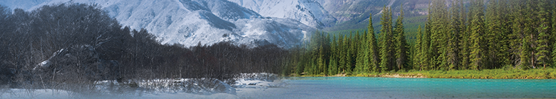 Snow capped mountain