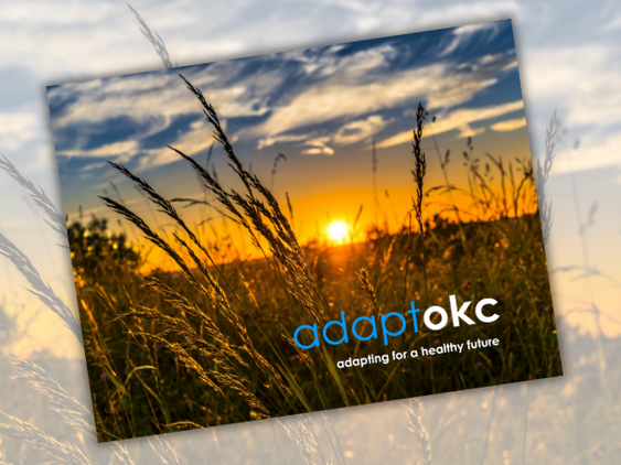 Adapt OKC plan screen capture