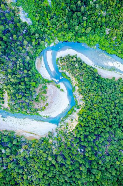 Aerial view of a blue winding river among straight, tall trees