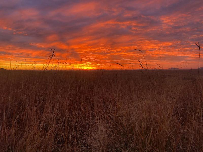 Sunrise landscape