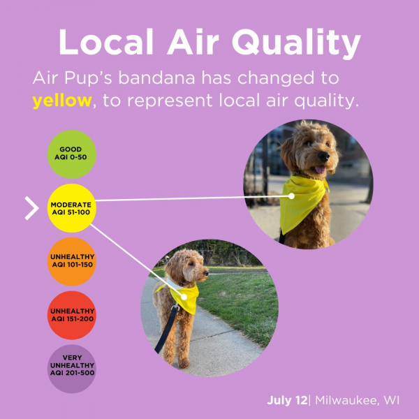 5 color circles with two pictures of a dog wearing a yellow bandana