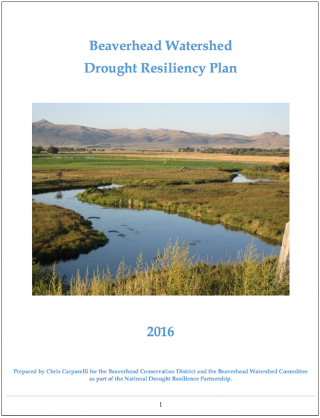 Report cover