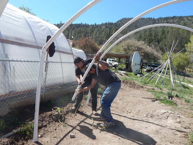 Constructing a hoop house to protect produce from climate extremes