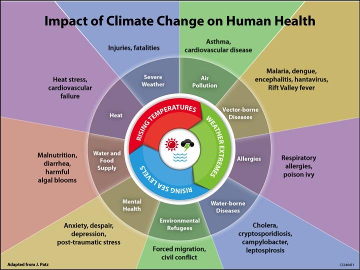 effects of global warming on human health essay