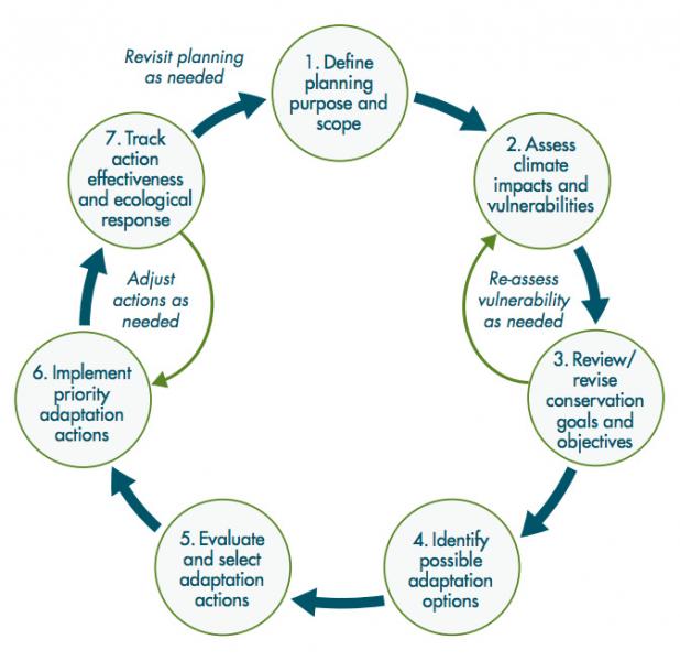 The Climate-Smart Conservation Cycle