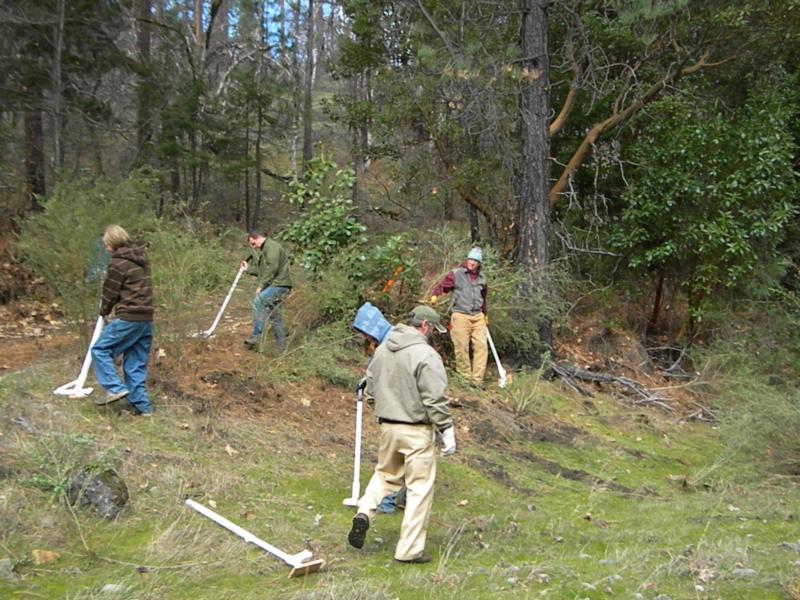 Photo of people eradicating weeds
