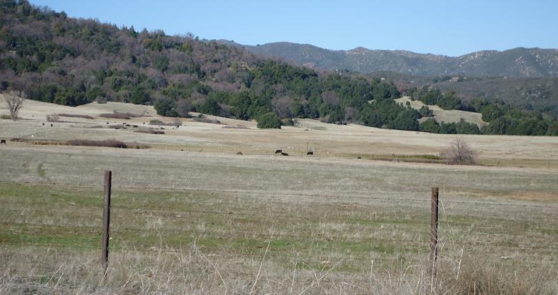 Photo of meadow in Dyche Valley, San Diego County, California
