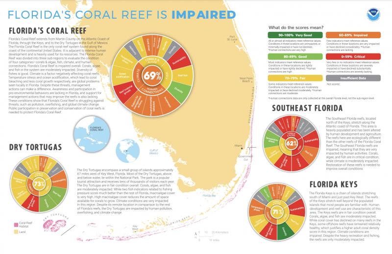 Infographic showing the majority of coral reefs around Florida are in poor health