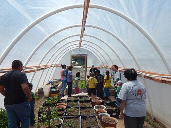 Families in the hoop house