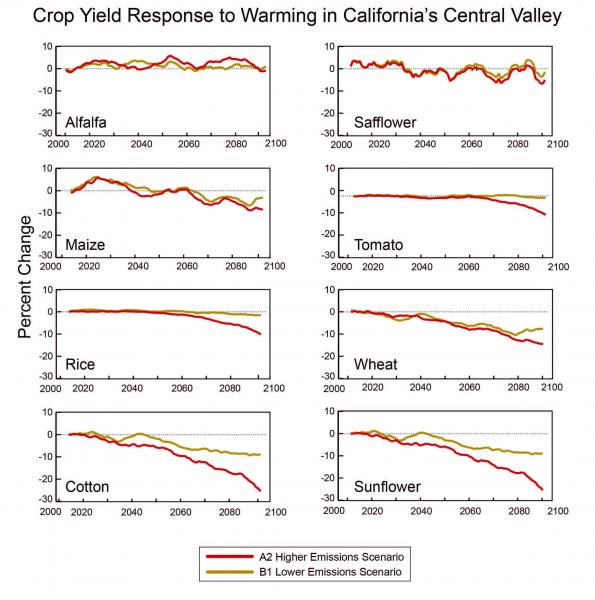 Graphs Depicting Crop Yield Response to Warming in California's Central Valley
