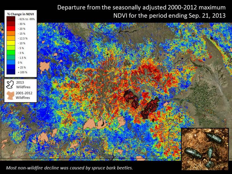 Drought, beetles and fire in Colorado [presentation slide]