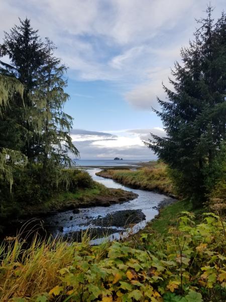Stream flowing downhill to the ocean past trees and vegetation 