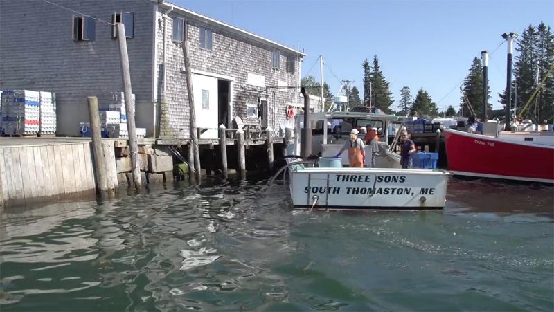 A lobster boat in Maine
