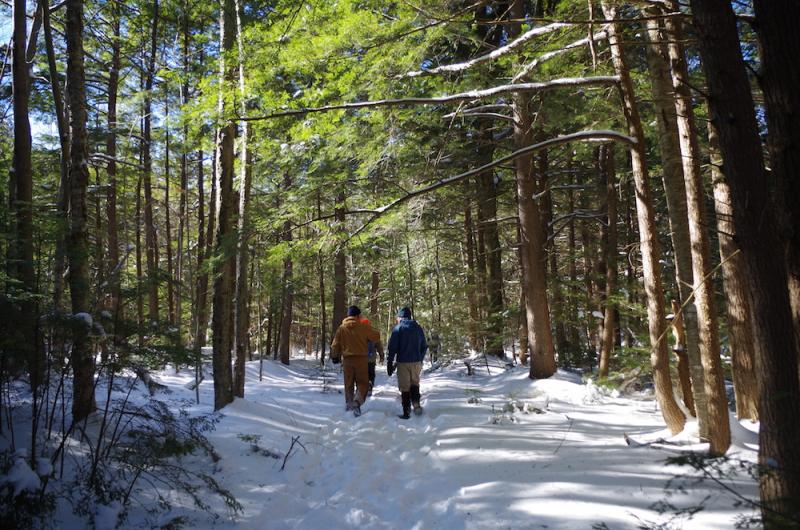 Photo of hikers in snowy woods
