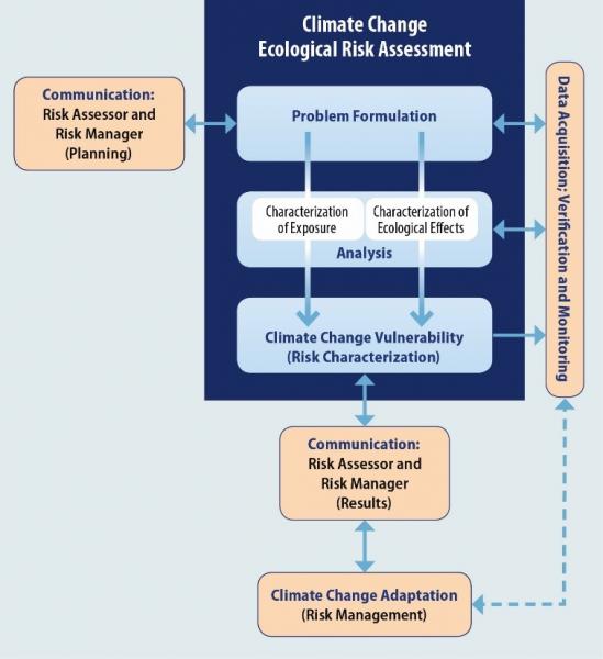 Flowchart showing steps for a risk assessment