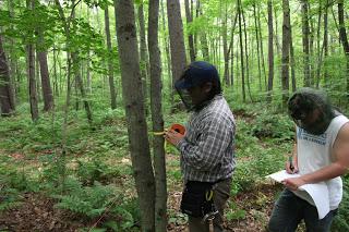 Students Measuring the Pulse of the Forest