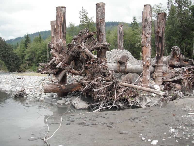 A logjam in a river