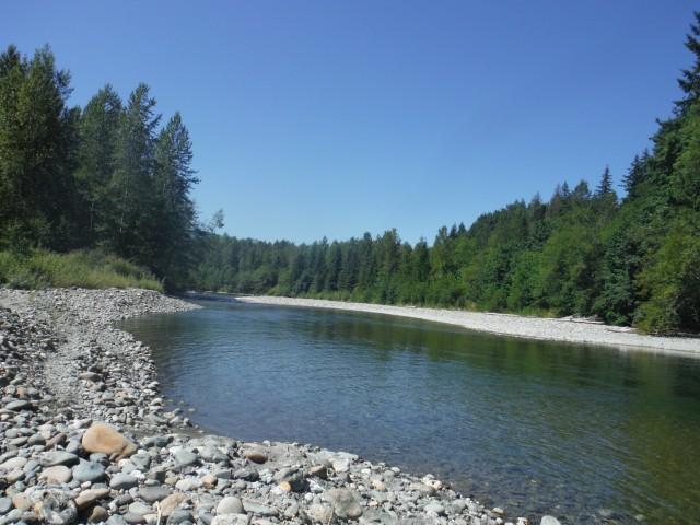 South Fork Nooksack River