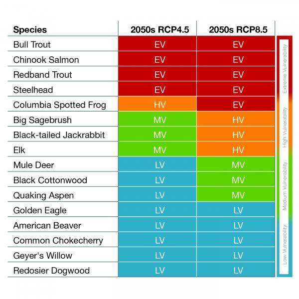 Vulnerability Chart