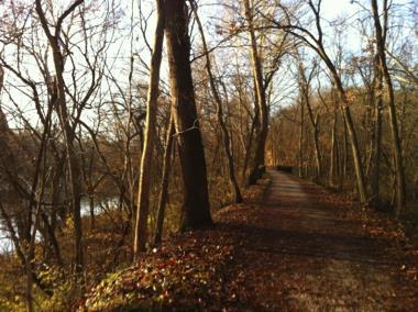 A trail in the Meramec Greenway.