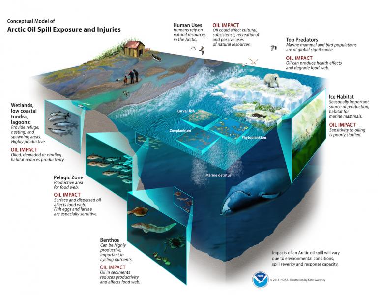 Cut-away diagram showing oil spill issues at various ocean depths