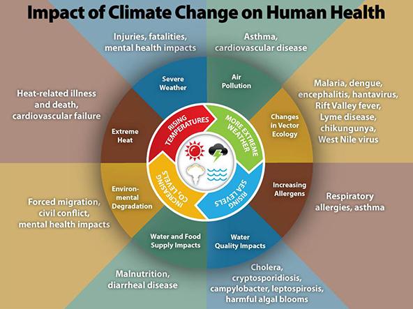 How Do Human Activities Lead To Climate Change Class 9 How Do Human Activities Lead To Climate Change Class 9