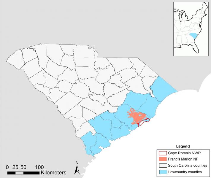 Map outline of South Carolina highlighting the Lowcountry region on the eastern coast of the state. 