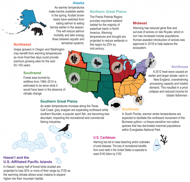 Regional Ecosystems Impacts