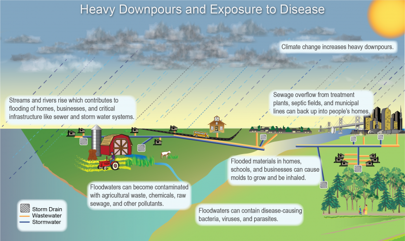 Illustration Depicting Factors Contribution to Human Exposure to Waterborne Diseases