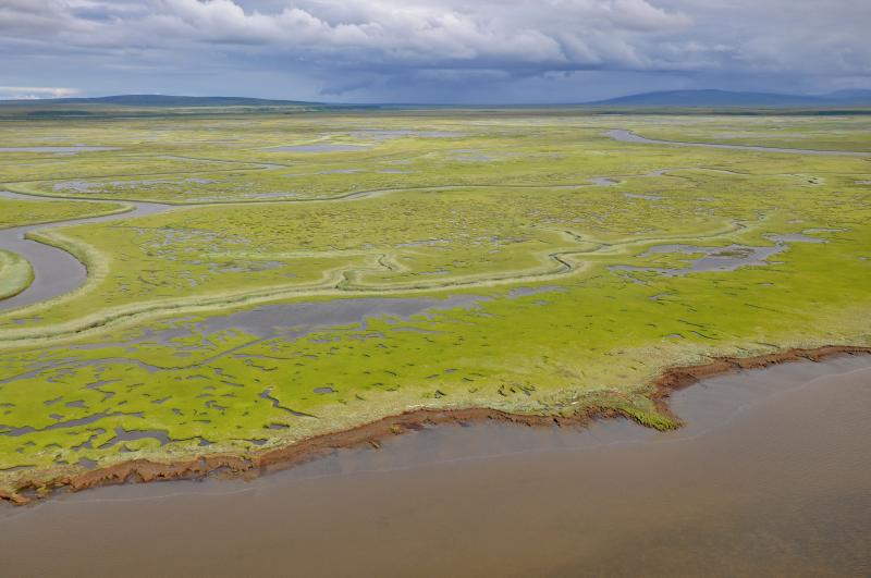 Flat, green coastal plain with meandering streams