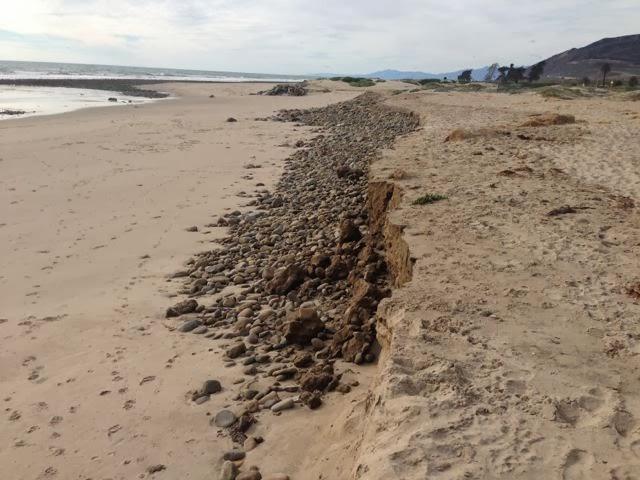 Cobble berm installed at Surfers' Point