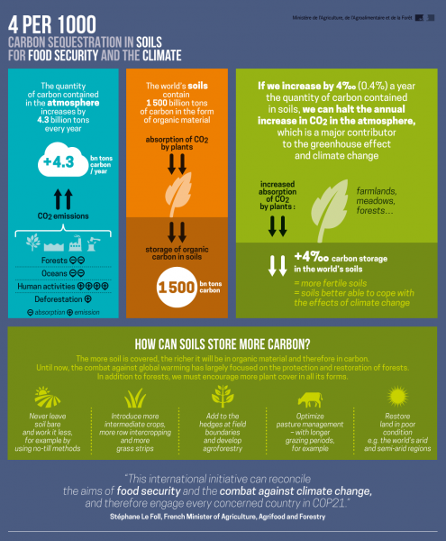 4 per 1000 Infographic