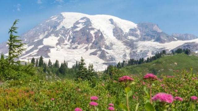 PNW moutains in spring